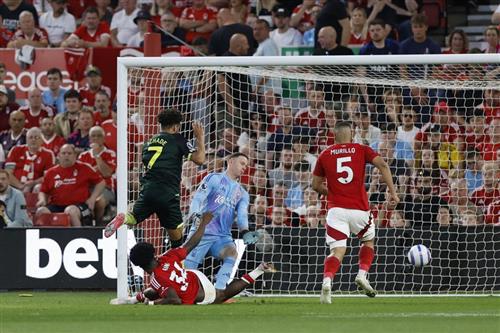 诺丁汉森林 vs 布伦特福德