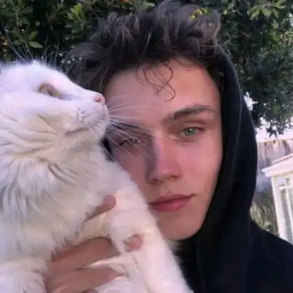 6686体育官网金牌作者Doris