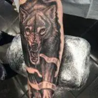 6686体育官网官方作者Orion