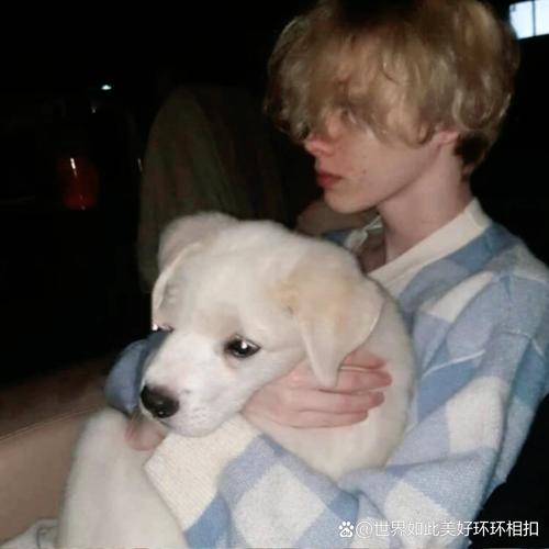 6686体育官网铁牌作者Alice