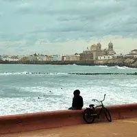 6686体育官网中级作者Xenia