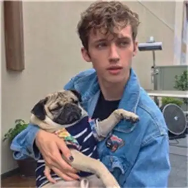 6686体育官网银牌作者Beryl