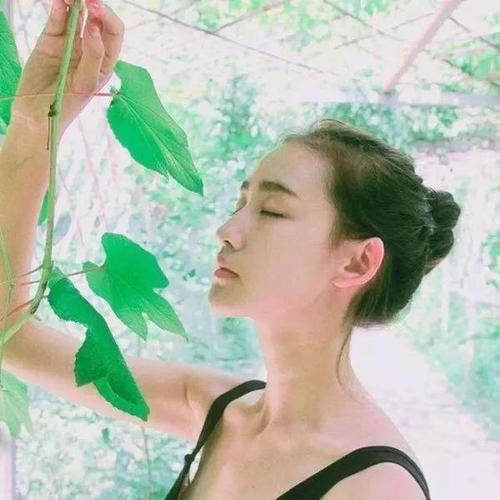 6686体育官网铁牌作者John