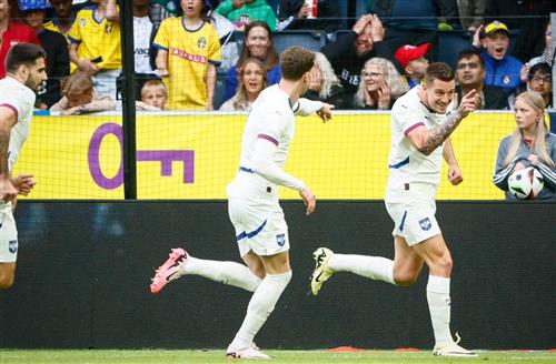 瑞典 vs 塞尔维亚